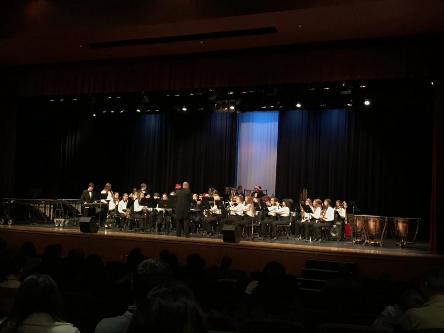 Beary Unique Talent at the OHS Band Winter Concert