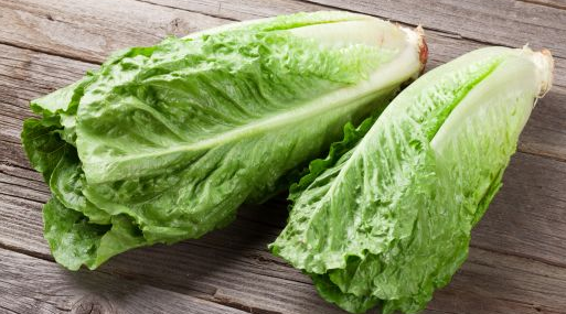 Picture of typical Romaine lettuce.