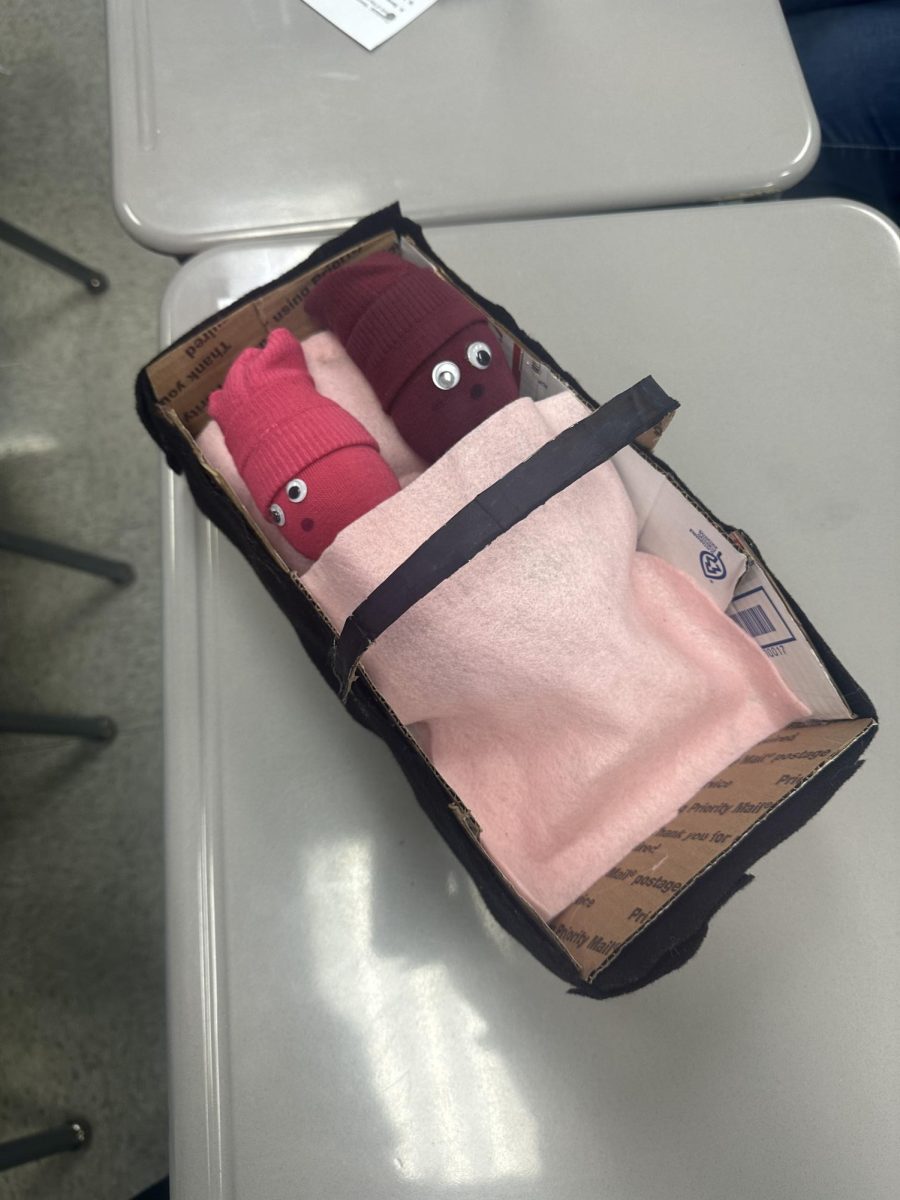 The sock babies of two students sleep in a handmade carriage. 