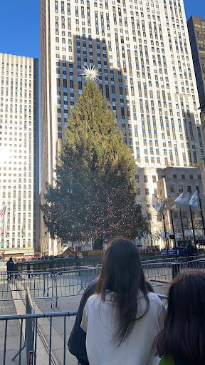 Come visit New York Citys Rockville Center Tree to see it light up 

