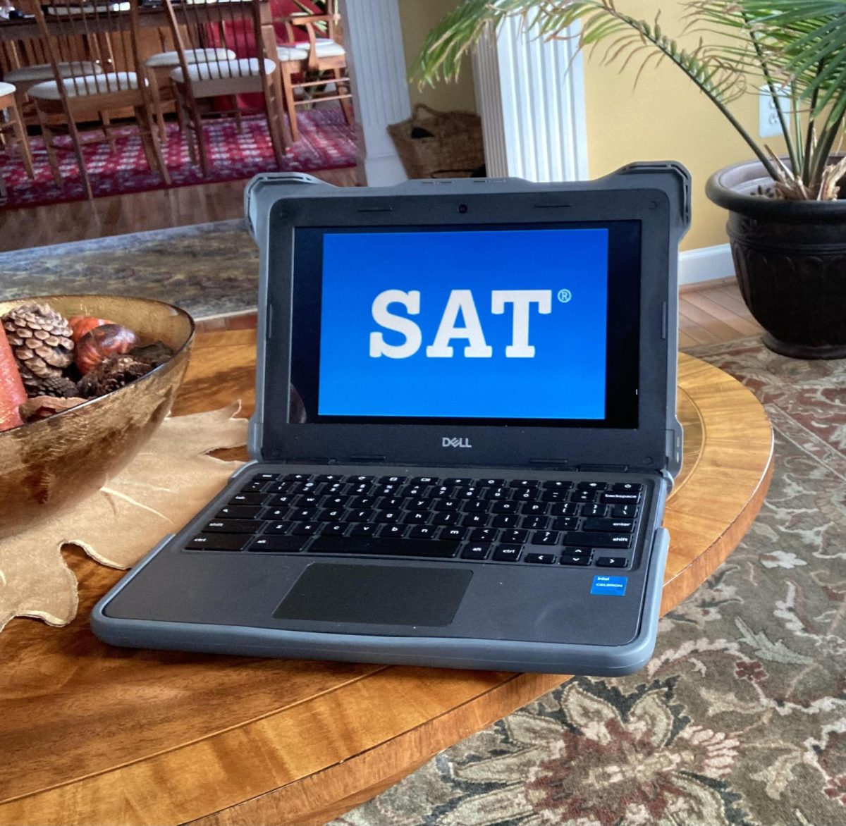 With another SAT approaching, students across the world have been studying hard for test day.